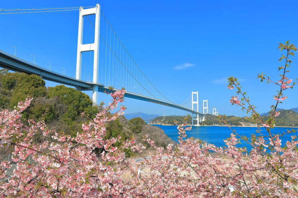 糸山公園の画像 - 3枚目
