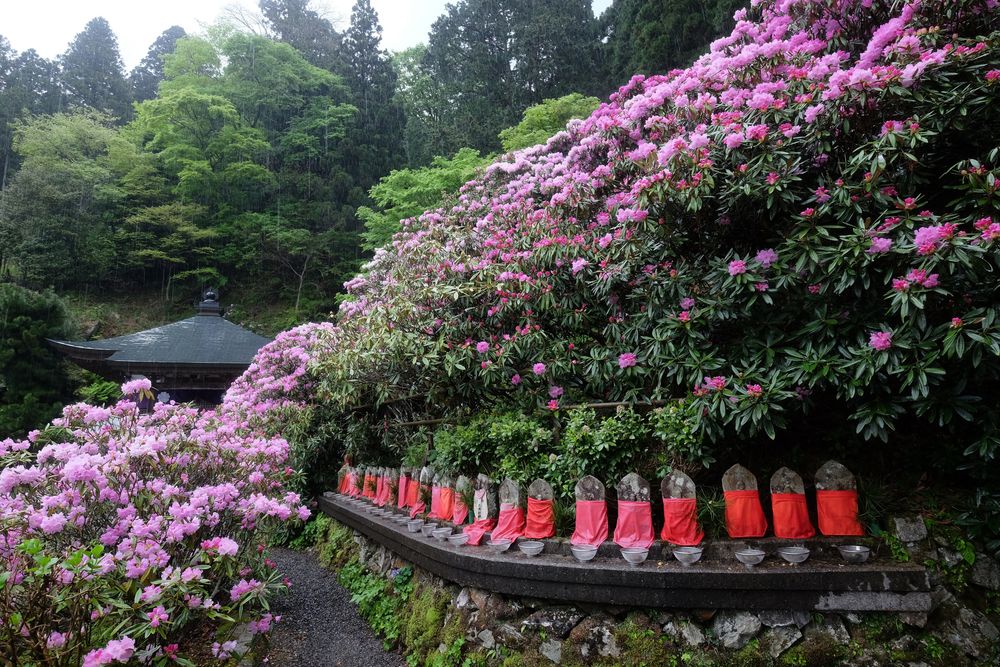 横峰寺の画像 - 2枚目