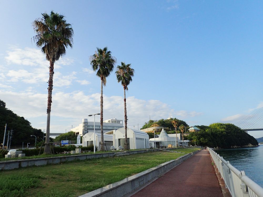 道の駅 多々羅しまなみ公園の画像 - 2枚目