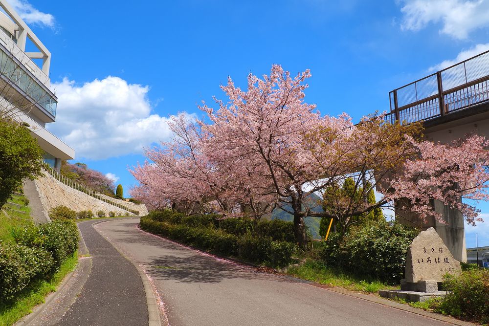 道の駅 多々羅しまなみ公園の画像 - 5枚目
