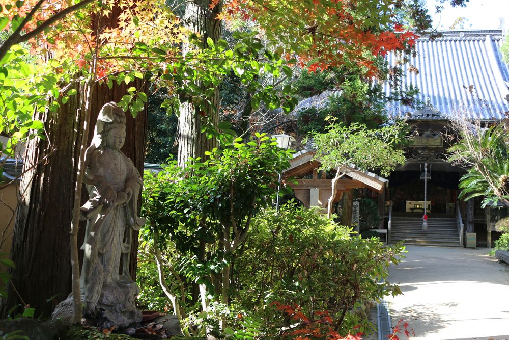 浄瑠璃寺の画像 - 2枚目