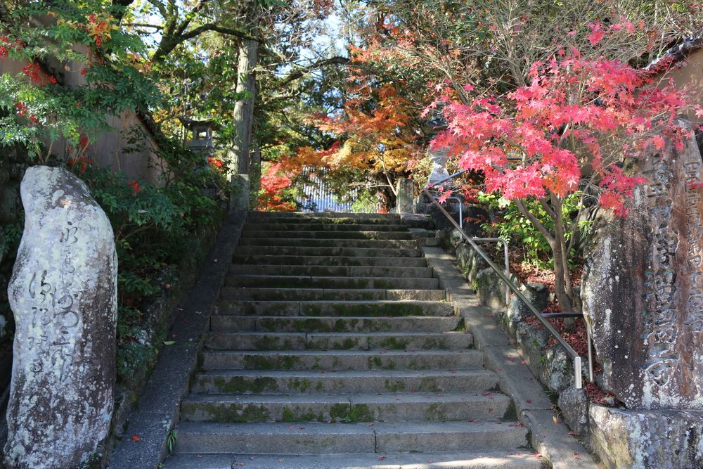 浄瑠璃寺の画像 - 3枚目