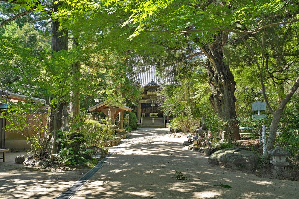 浄瑠璃寺の画像 - 4枚目