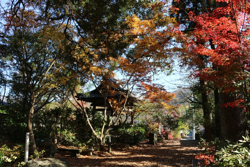 浄瑠璃寺の画像 - 5枚目