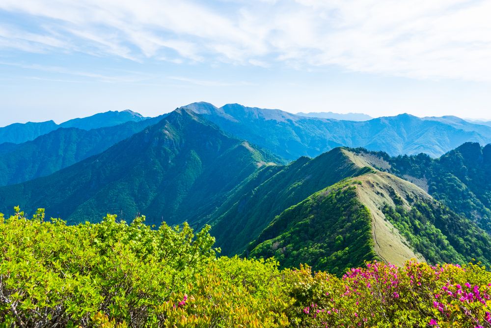 笹ヶ峰の画像 - 3枚目
