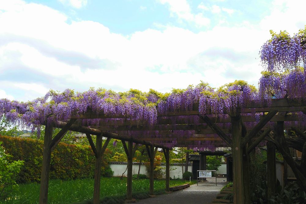 天赦園の画像 - 2枚目