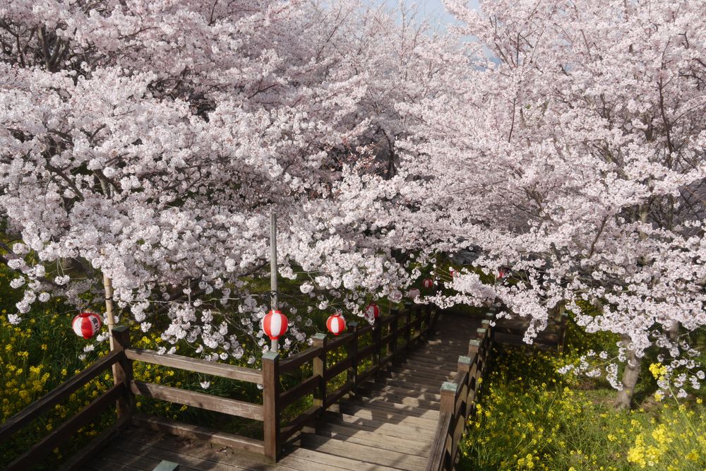 開山公園の画像 - 3枚目