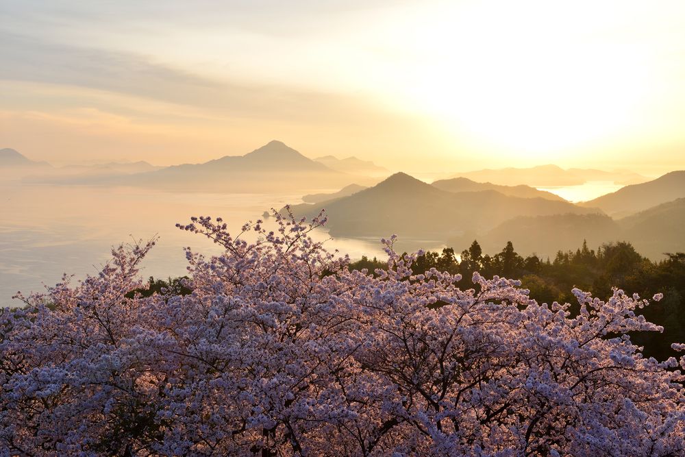 開山公園の画像 - 4枚目