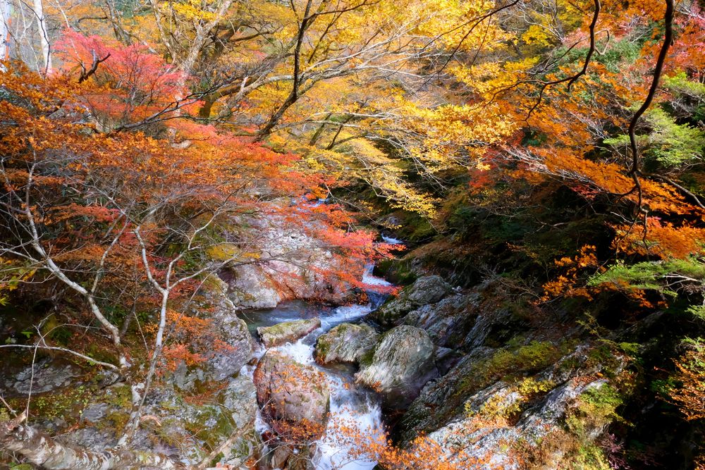 小田深山渓谷の画像 - 3枚目