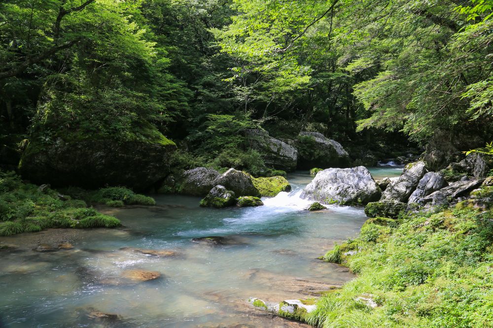 小田深山渓谷の画像 - 5枚目
