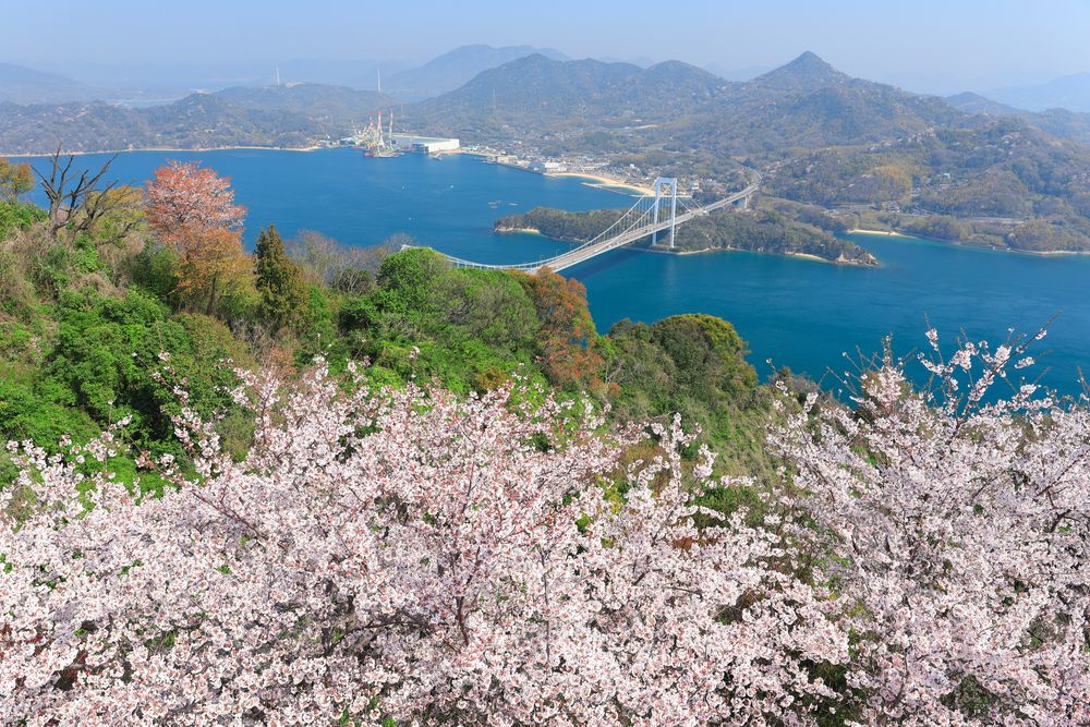 カレイ山展望公園の画像 - 5枚目