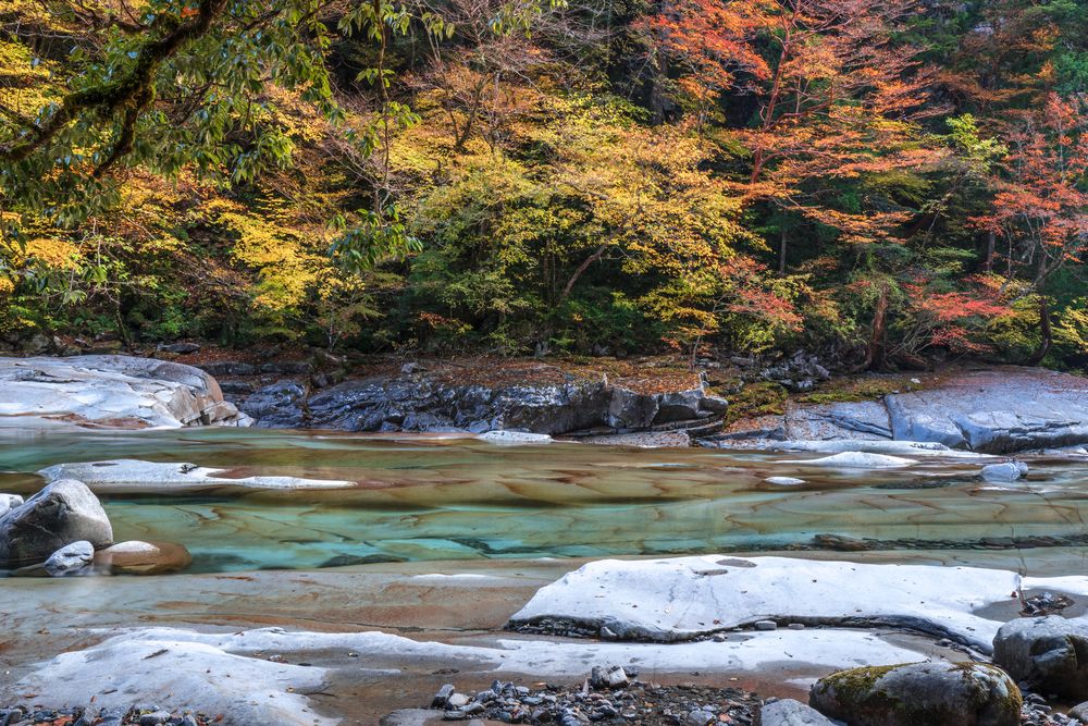 面河渓の画像 - 4枚目