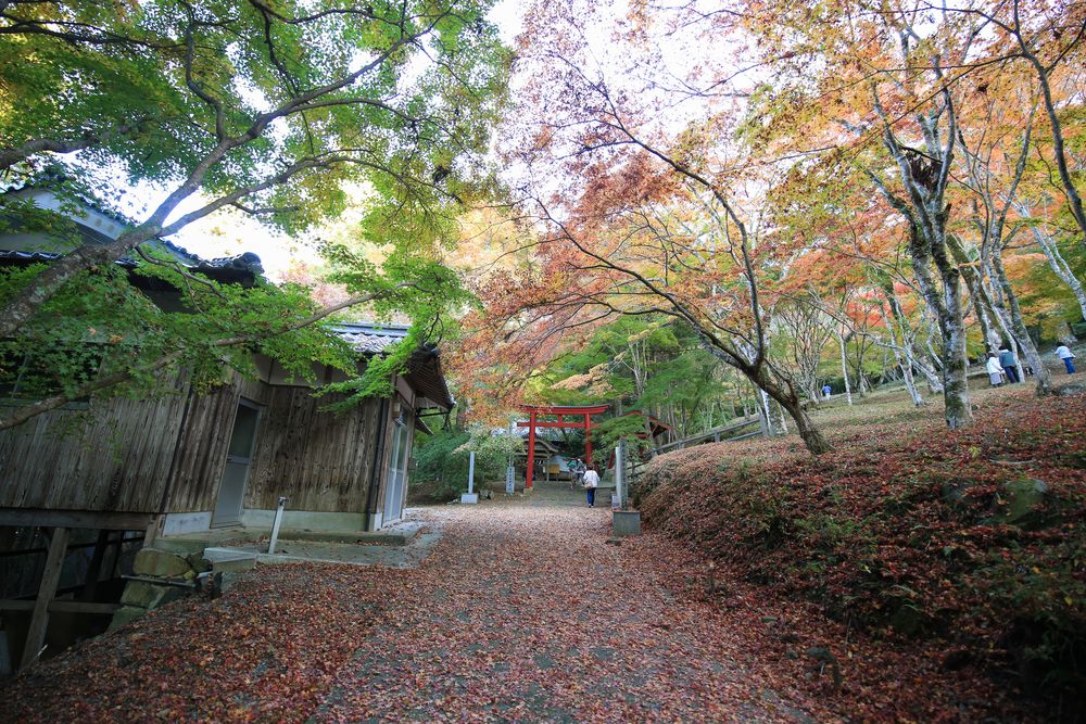 稲荷山公園の画像 - 2枚目