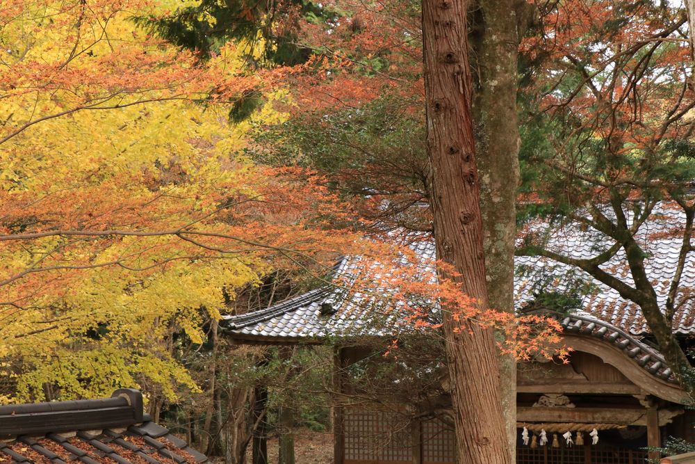 稲荷山公園の画像 - 4枚目