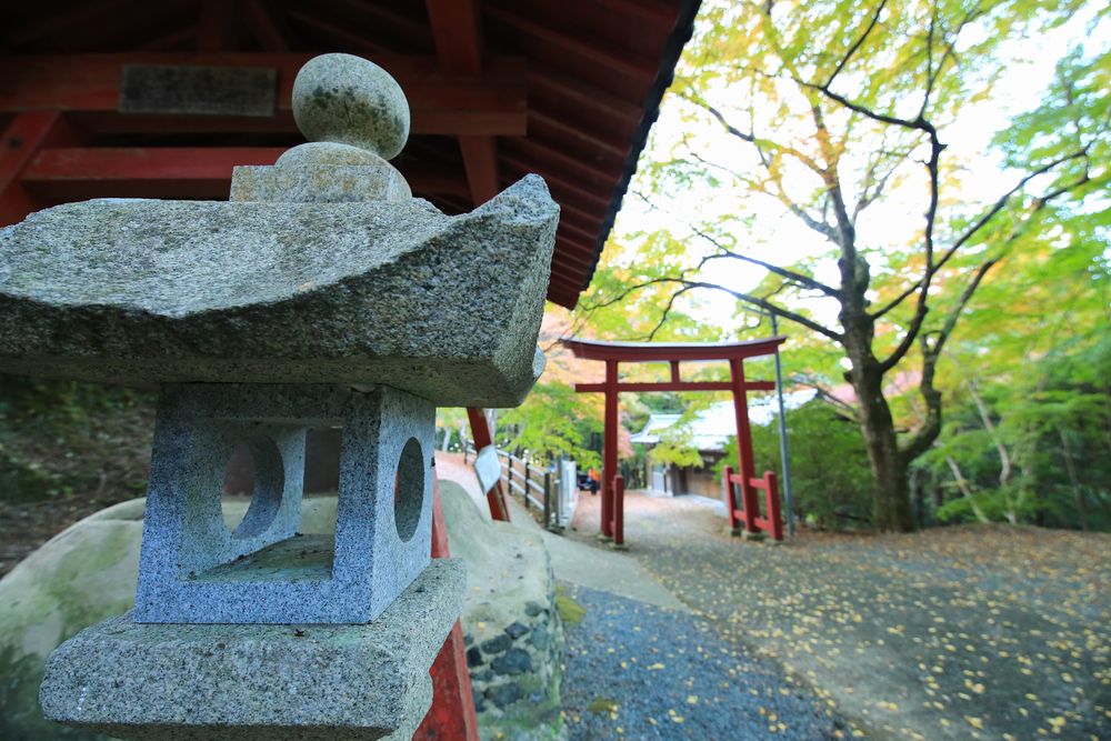 稲荷山公園の画像 - 5枚目