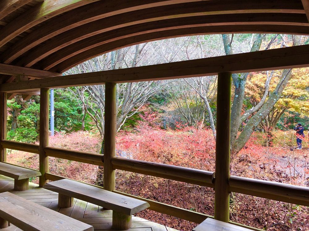 鈍川渓谷の画像 - 5枚目