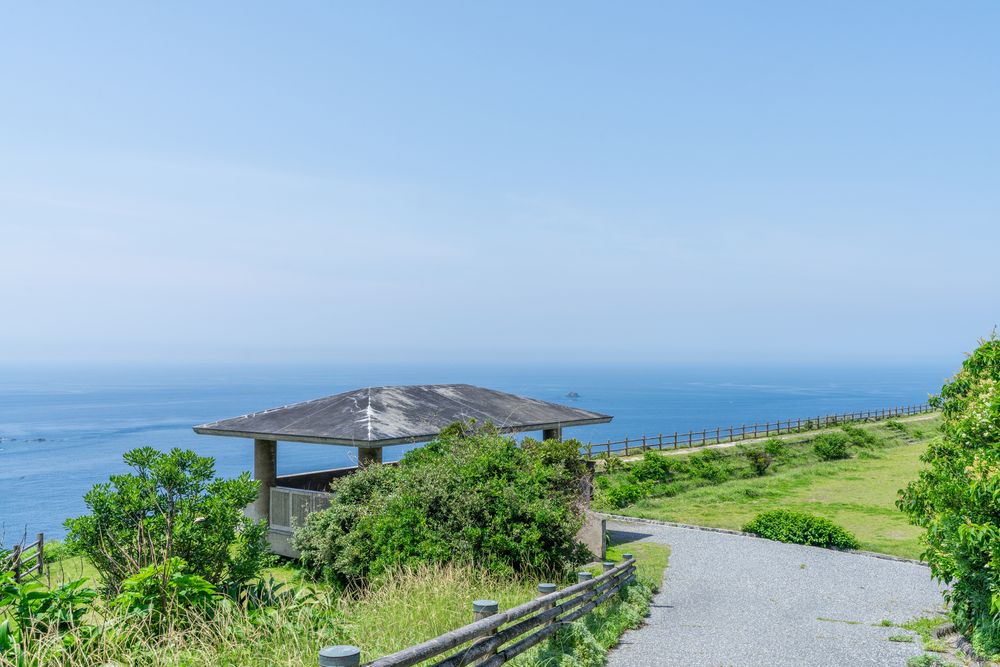 高茂岬の画像 - 5枚目