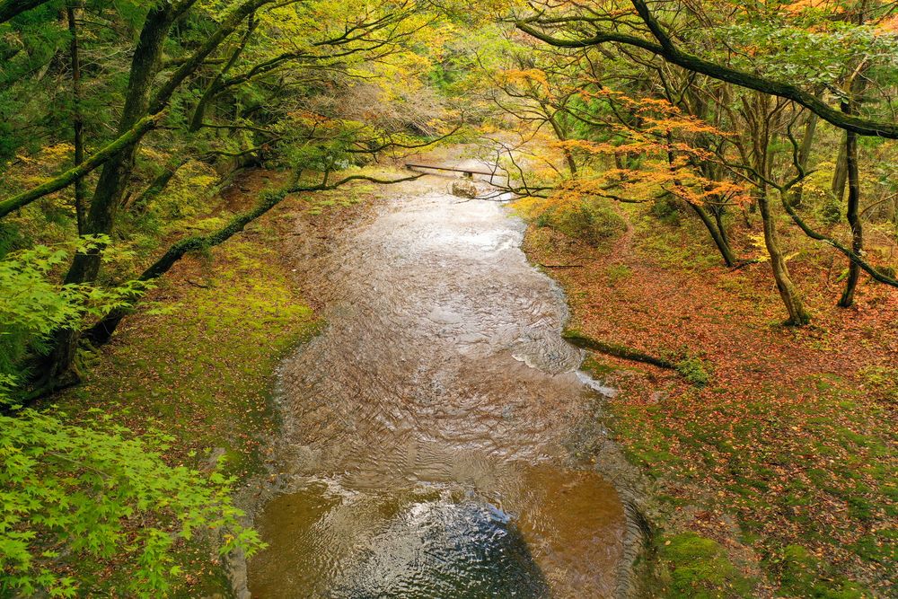 滑川渓谷の画像 - 5枚目