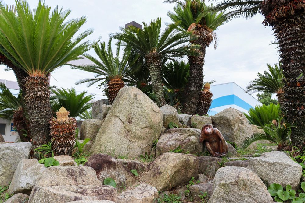 五色姫海浜公園の画像 - 2枚目