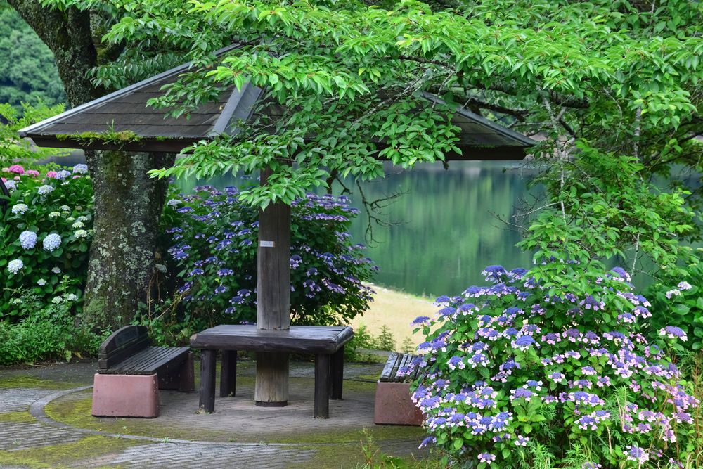 金砂湖の画像 - 2枚目