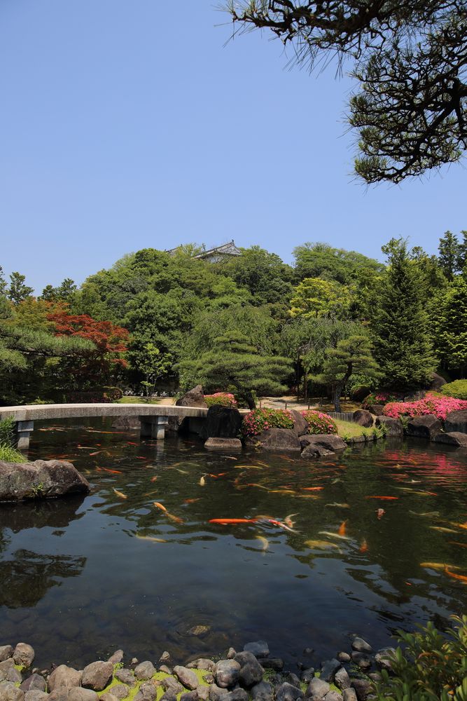 姫路城西御屋敷跡庭園 好古園の画像 - 2枚目