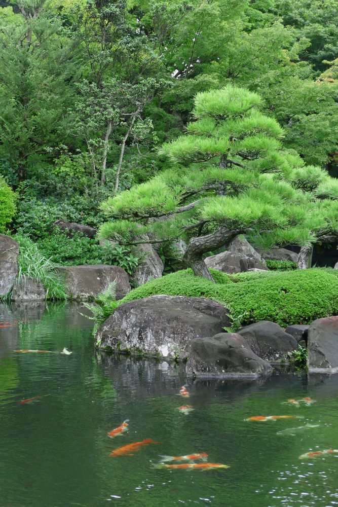姫路城西御屋敷跡庭園 好古園