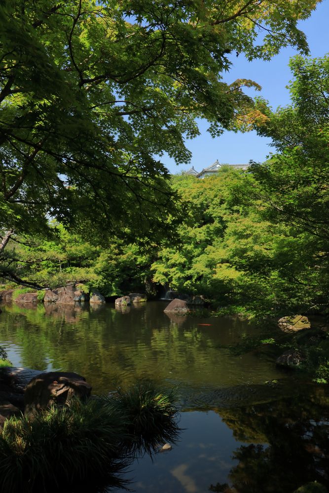 姫路城西御屋敷跡庭園 好古園の画像 - 5枚目