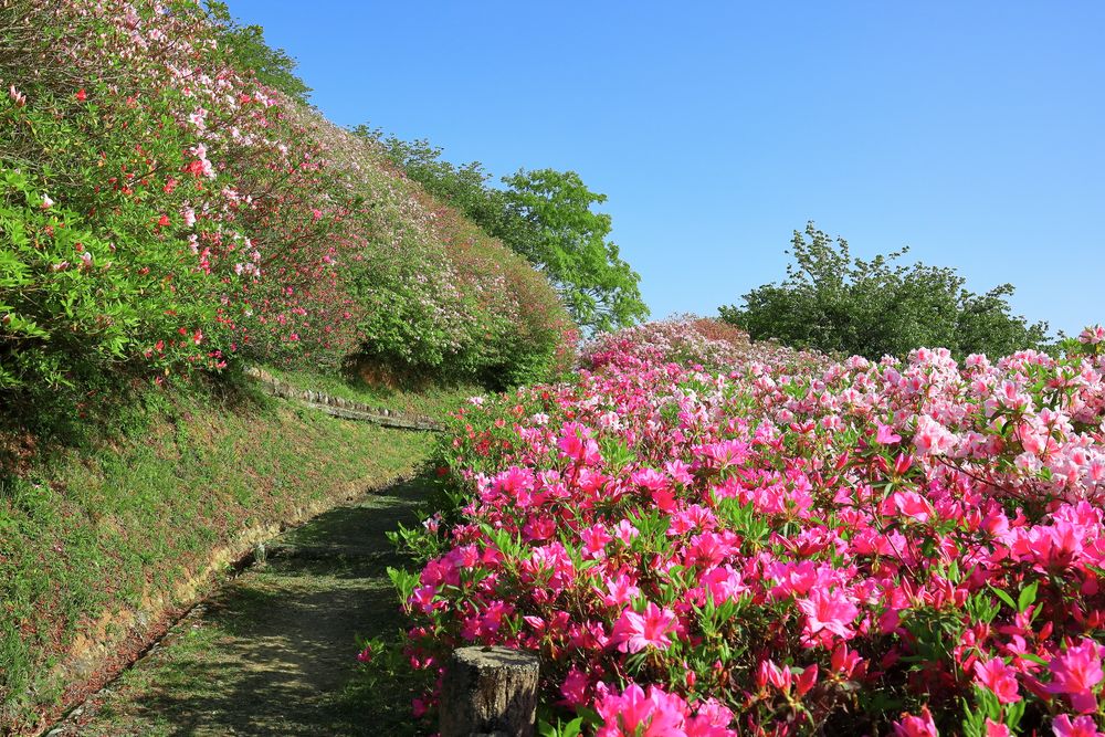 冨士山公園の画像 - 2枚目