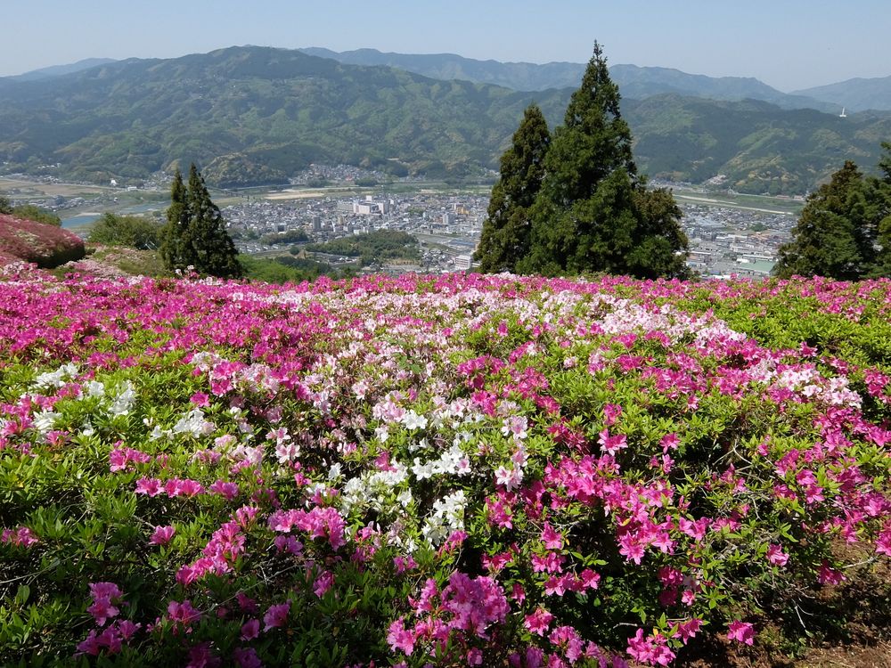 冨士山公園の画像 - 3枚目