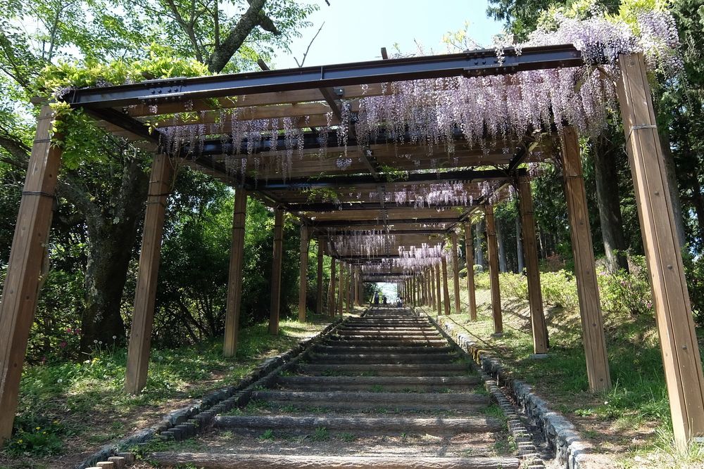 冨士山公園の画像 - 4枚目