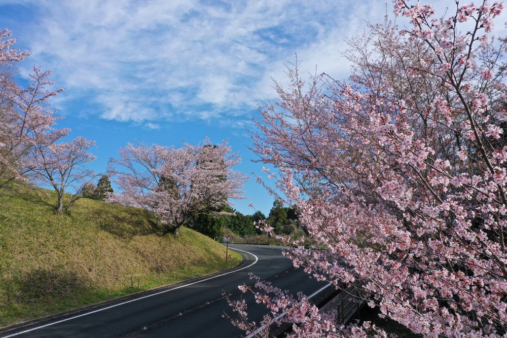 冨士山公園の画像 - 5枚目