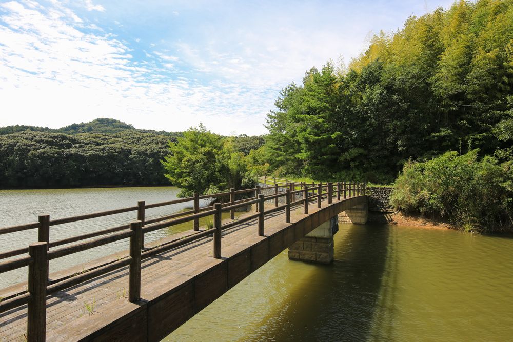 中山池自然公園の画像 - 3枚目