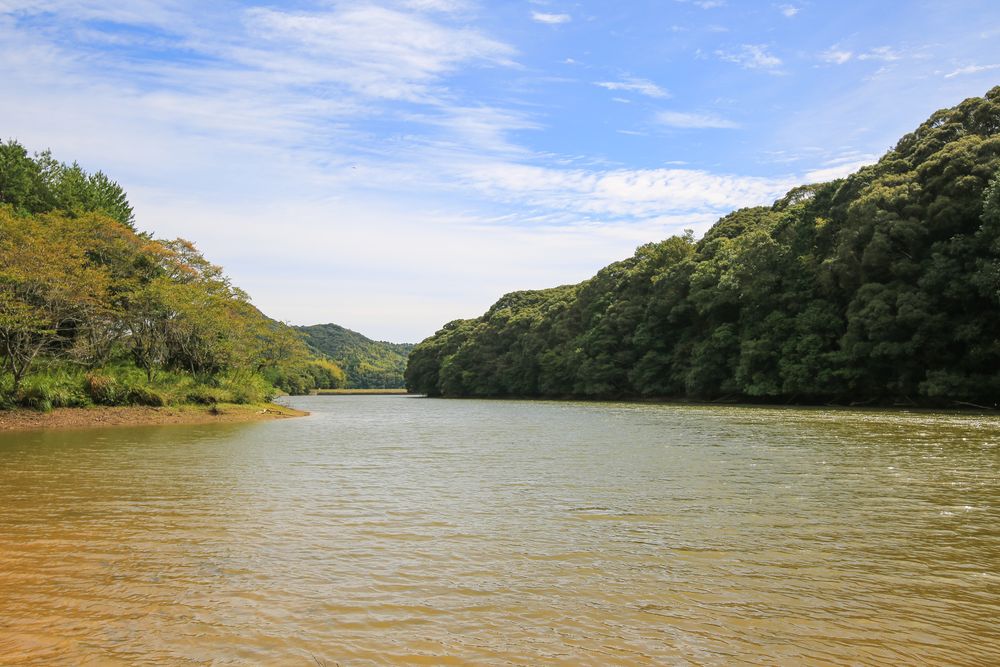 中山池自然公園の画像 - 4枚目