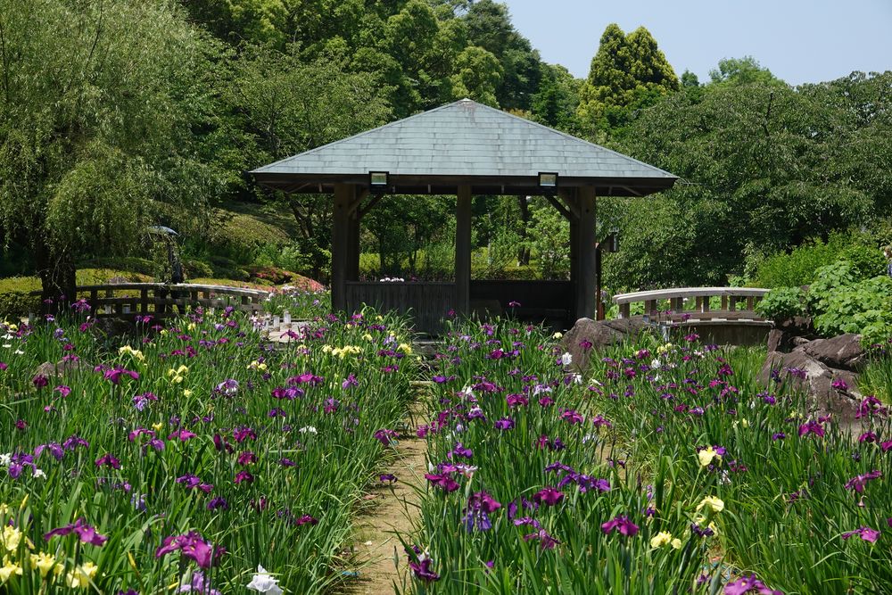 南楽園の画像 - 2枚目