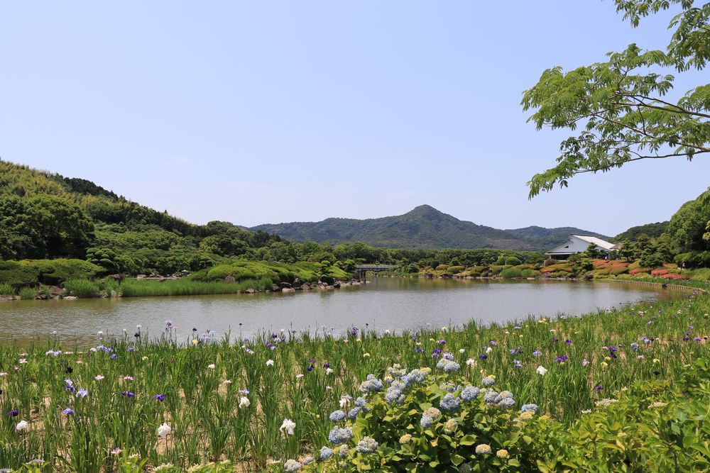 南楽園の画像 - 4枚目