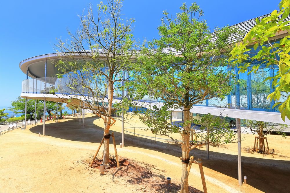 新屋島水族館の画像 - 3枚目