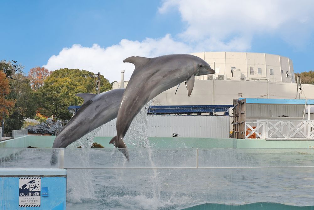 新屋島水族館