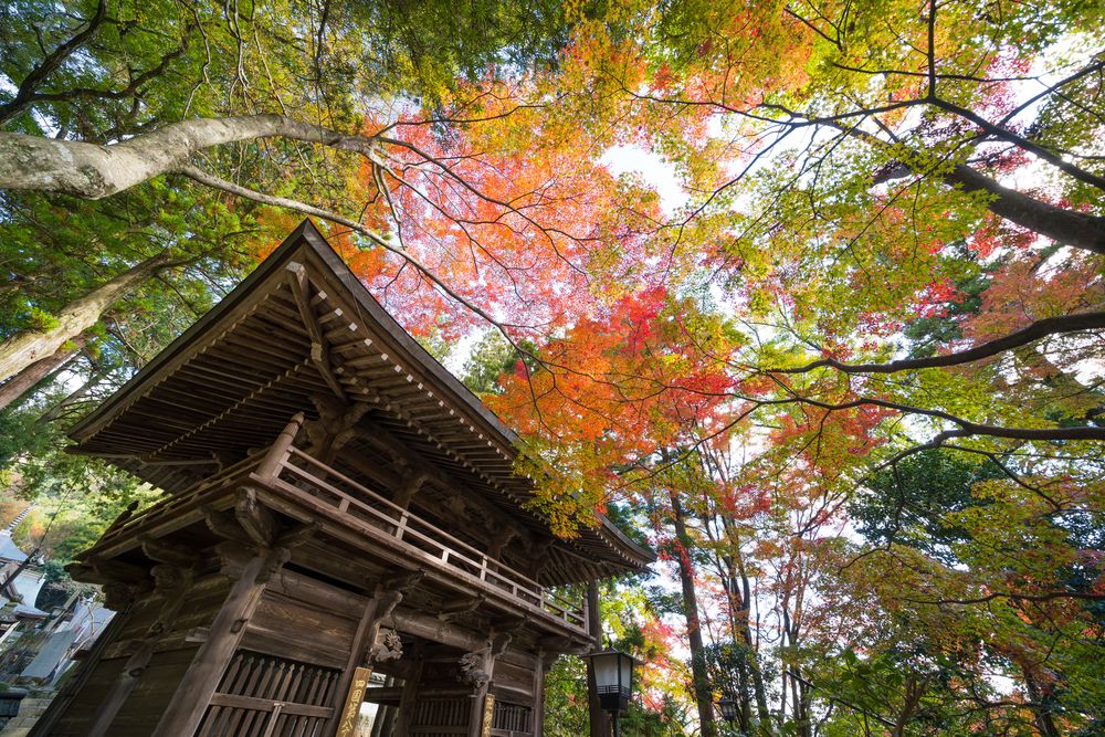 大窪寺の画像 - 3枚目