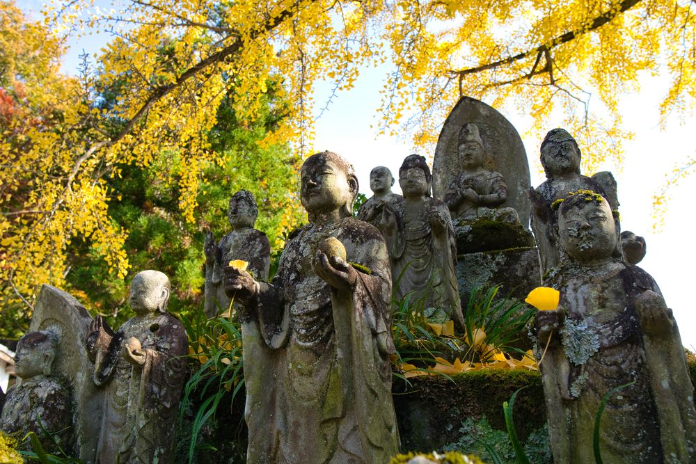 大窪寺の画像 - 4枚目