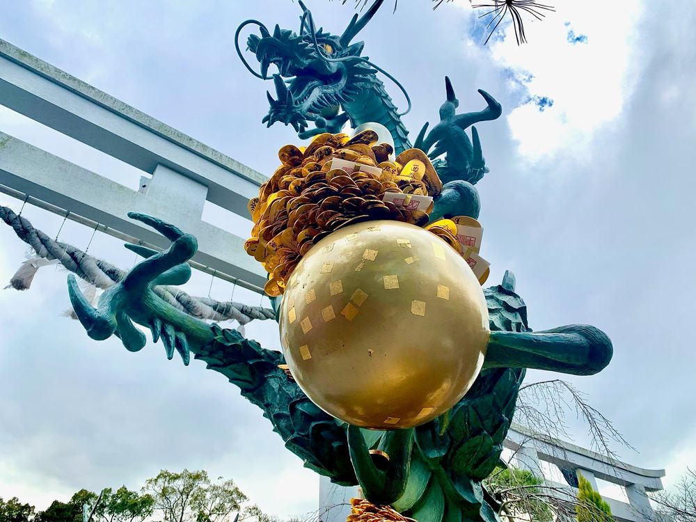 神村 連覇狙った1区でまさかの結果 神村学園・野口が都大路で期す雪辱