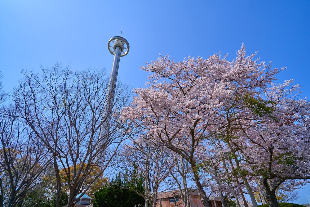 瀬戸大橋タワーの画像 - 2枚目