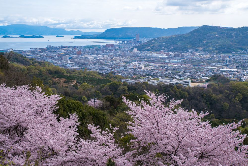 五色台展望台の画像 - 2枚目