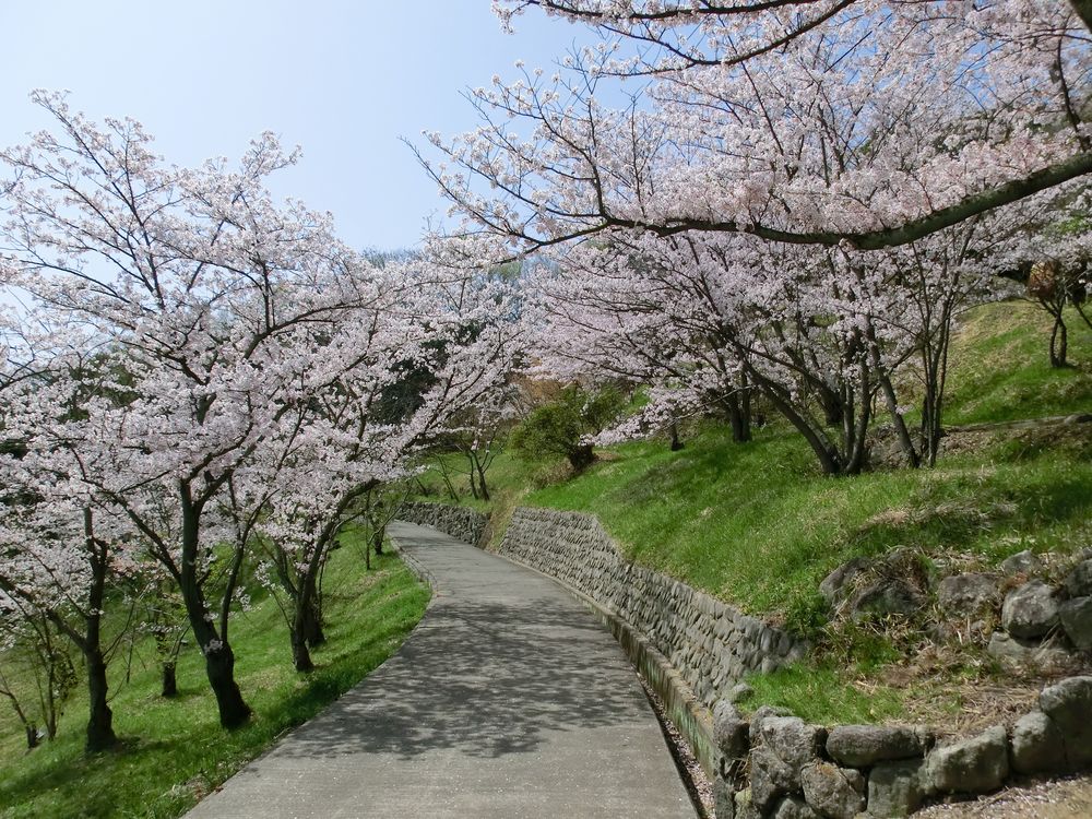 桃陵公園の画像 - 3枚目