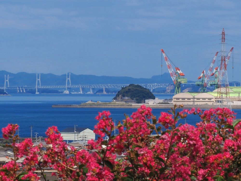 桃陵公園の画像 - 4枚目