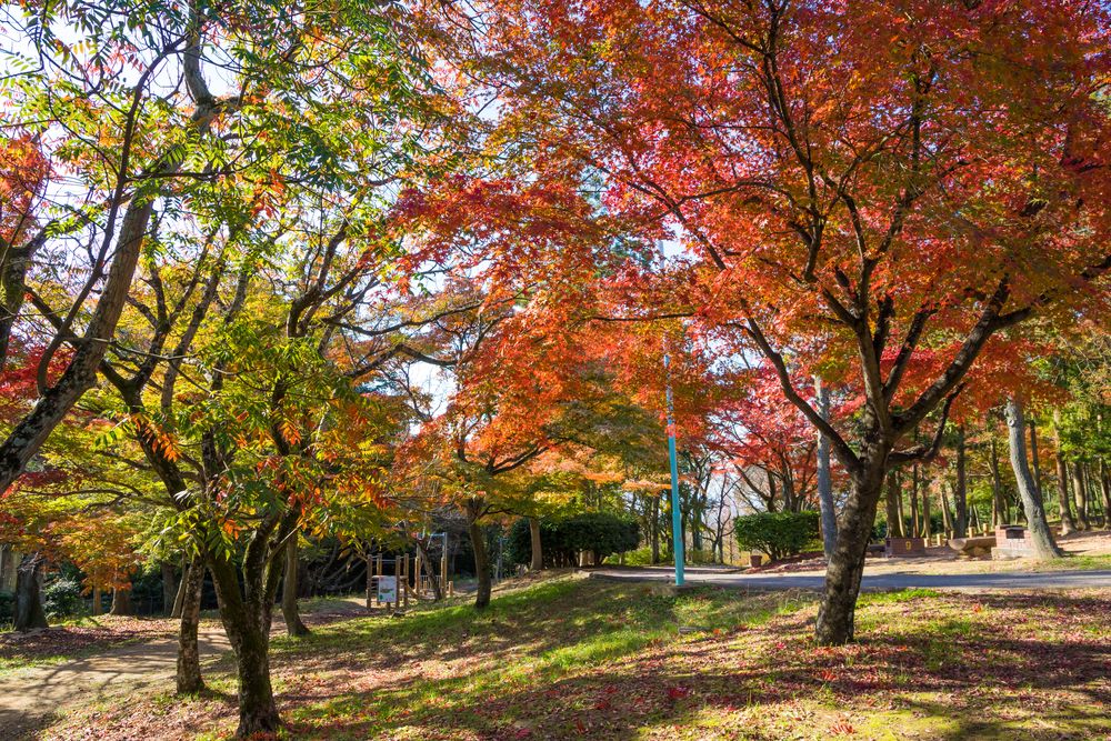 峰山公園】の周辺スポット・アクセス・口コミ - Prism Japan
