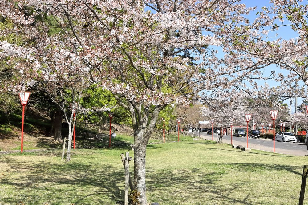 琴弾公園の画像 - 4枚目