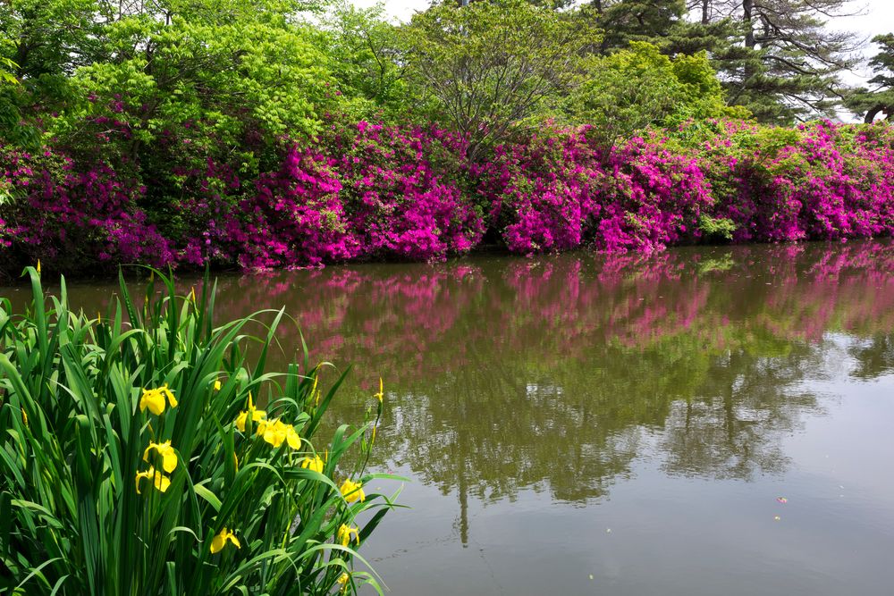 高松市立 仏生山公園の画像 - 3枚目