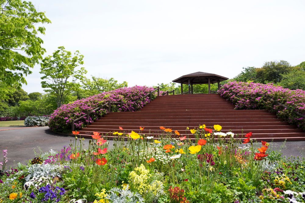 高松市立 仏生山公園の画像 - 4枚目