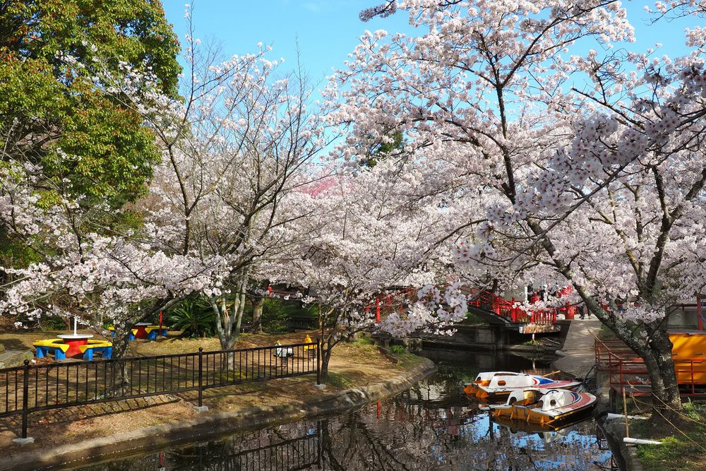 朝日山森林公園の画像 - 4枚目