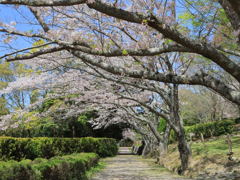 公渕森林公園の画像 - 2枚目